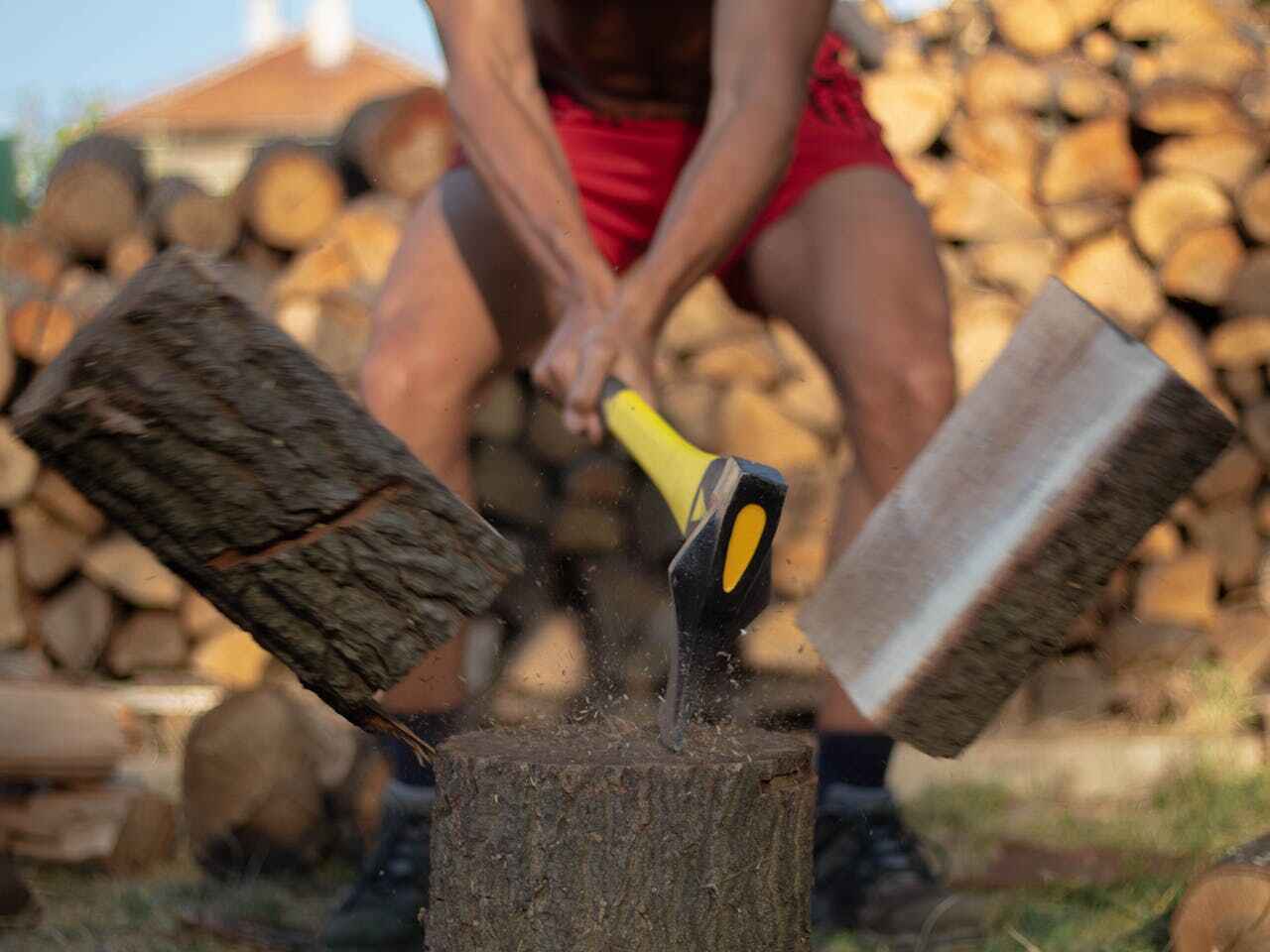 Best Stump Grinding Near Me  in USA